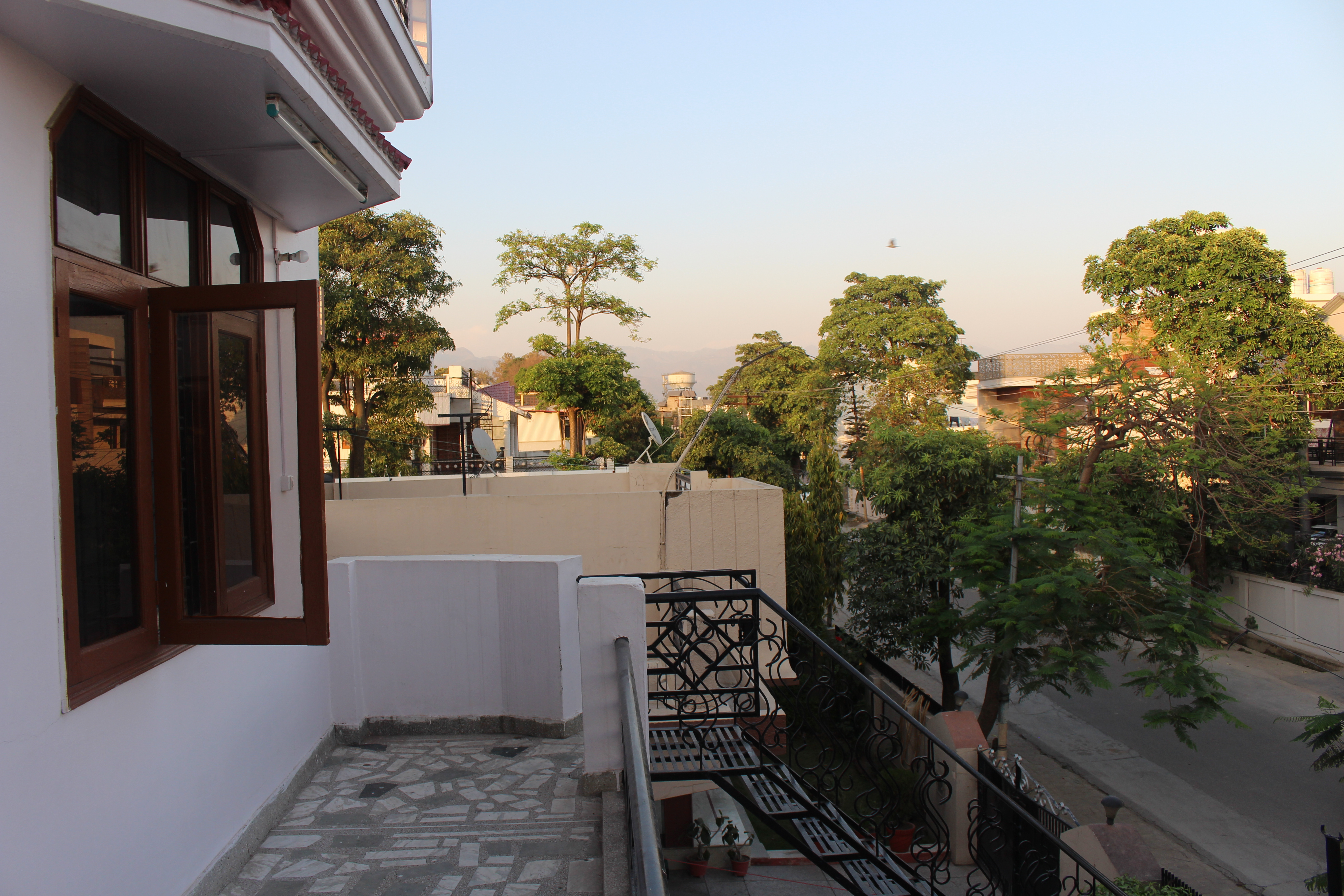 Palm Bhimtal
